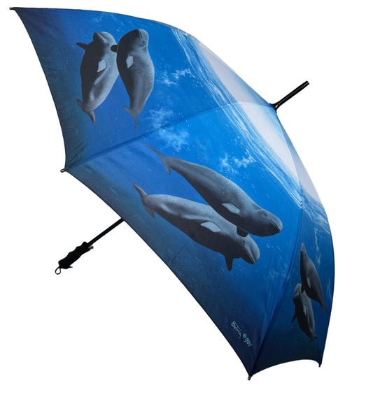 Umbrella - Beluga Whales - Paul Butvila
